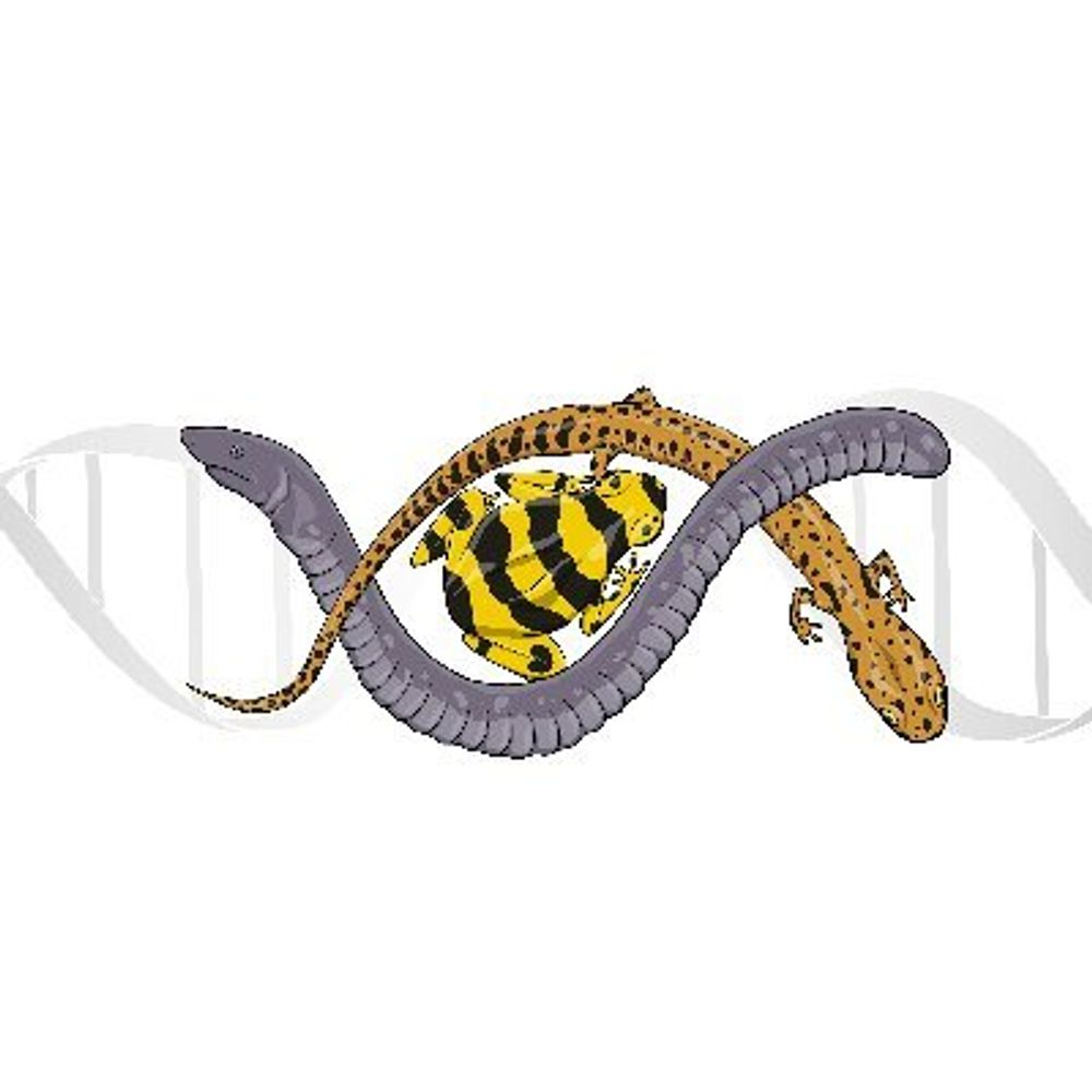 AmphibiaGen