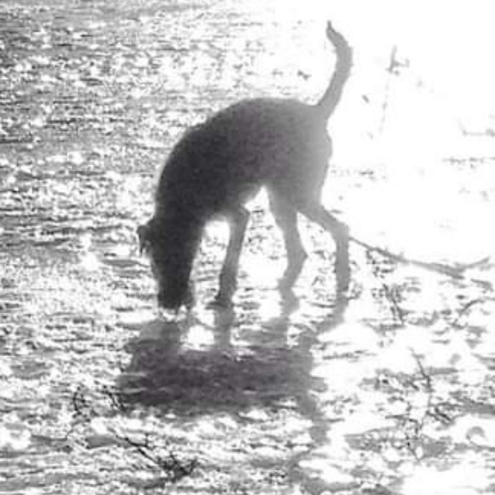 tapioanttonen.bsky.social