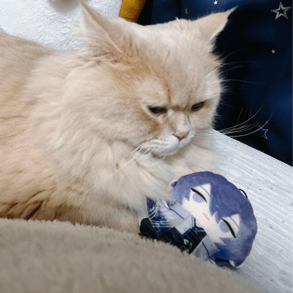 YU