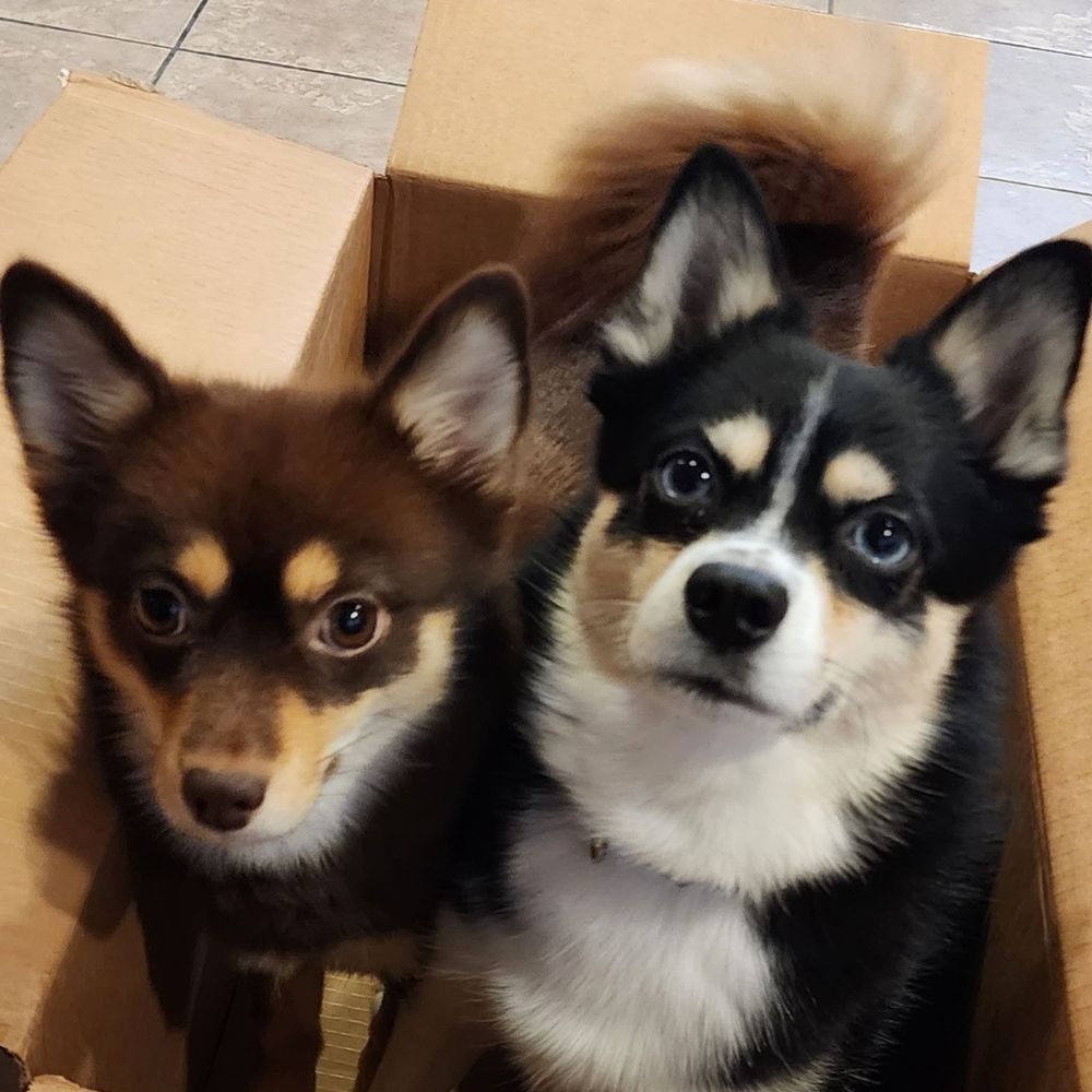 Kai & Nari