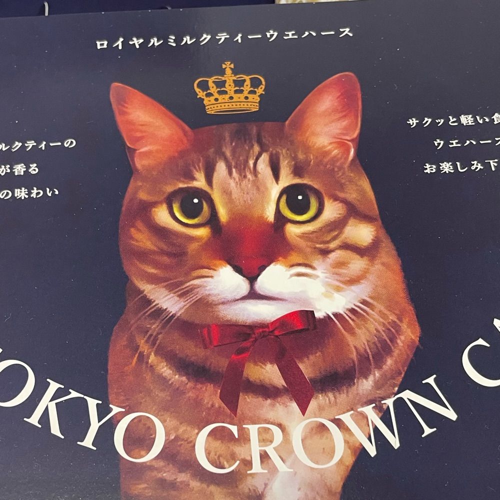とりムネ肉