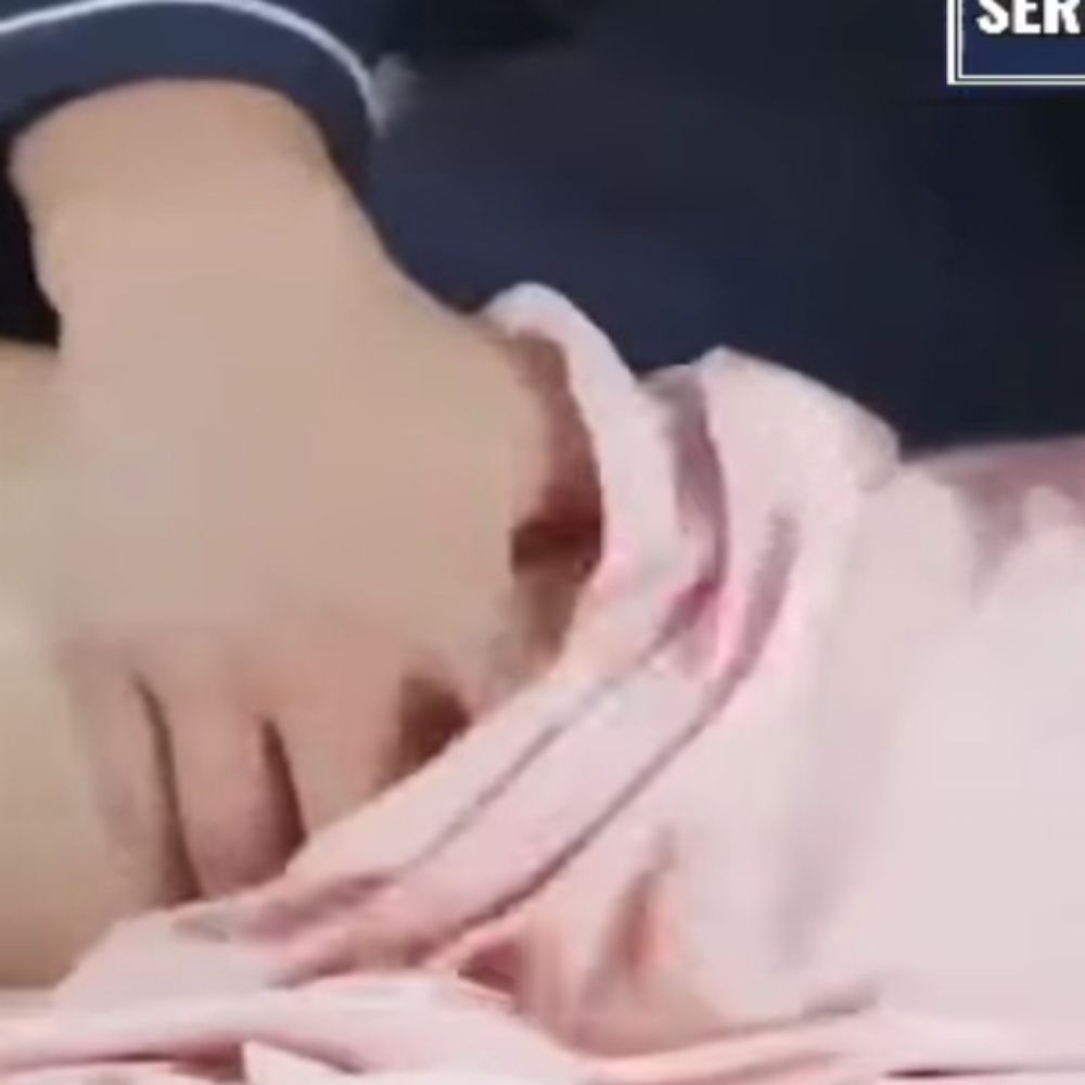 เต่า