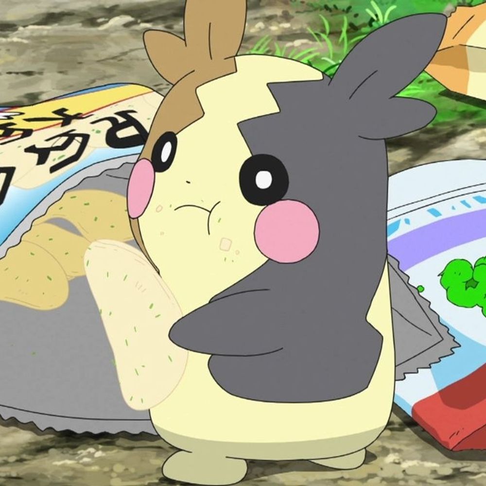 モルペコ