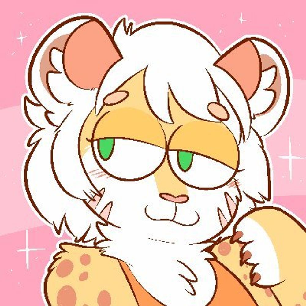 Taycat