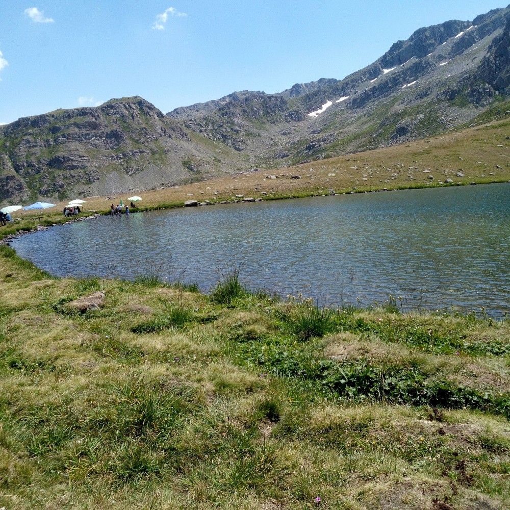 Oflu