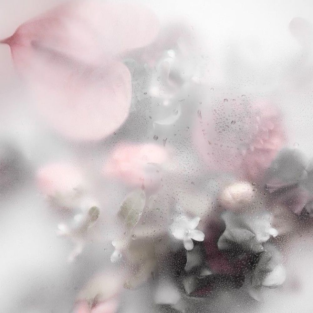 𝐒𝐭✰𝐫𝐠𝐢𝐫𝐥