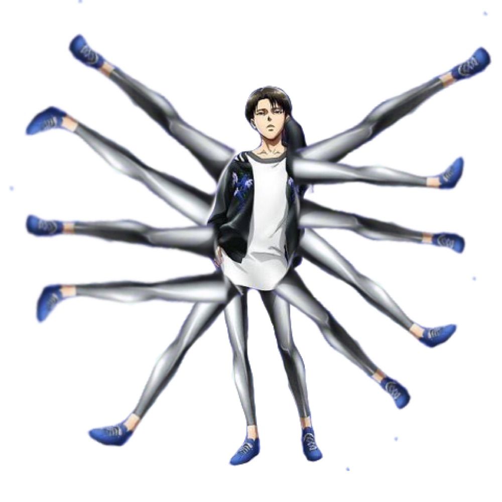 존꼴