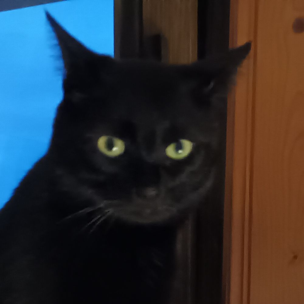 Antifakater