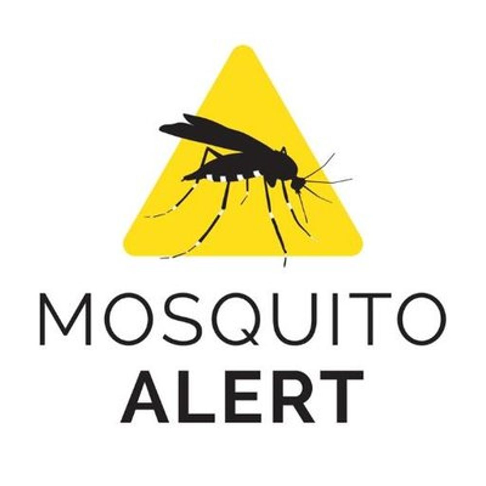Mosquito Alert