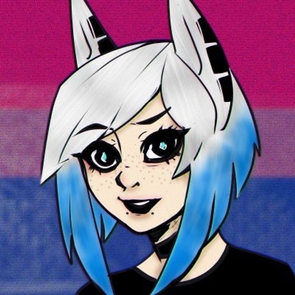 Designatedkitty 