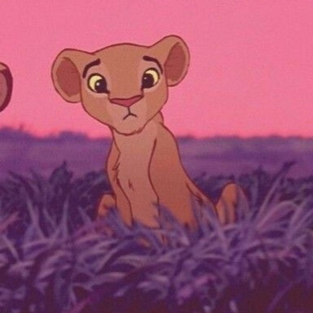 🌈날라Nala✨️