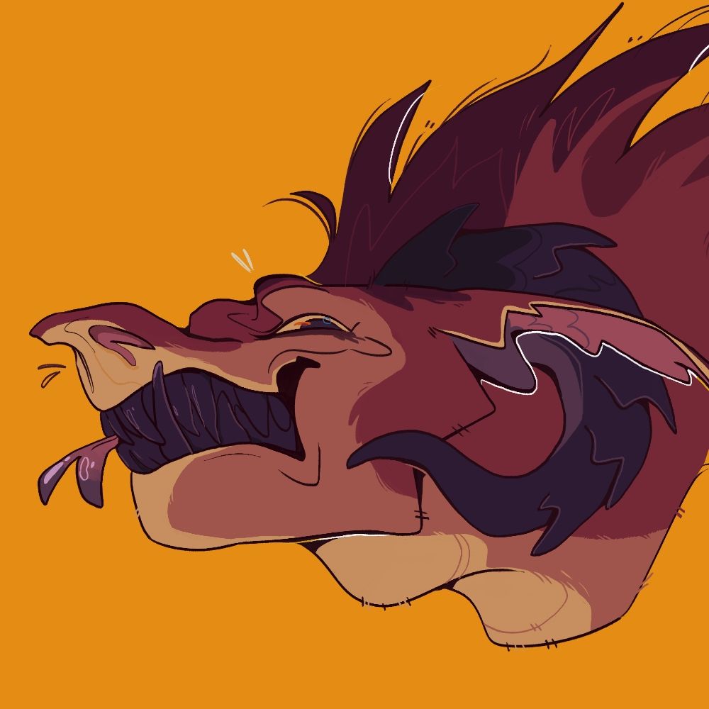 🌻Conn 🍂