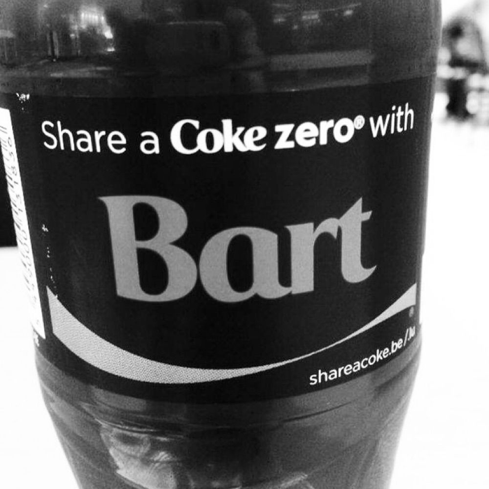Bart the Explorer