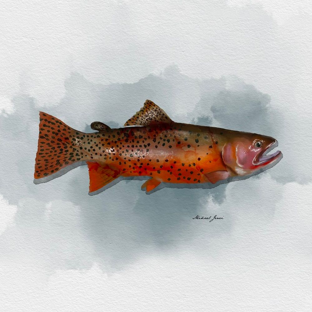 M. Jenei