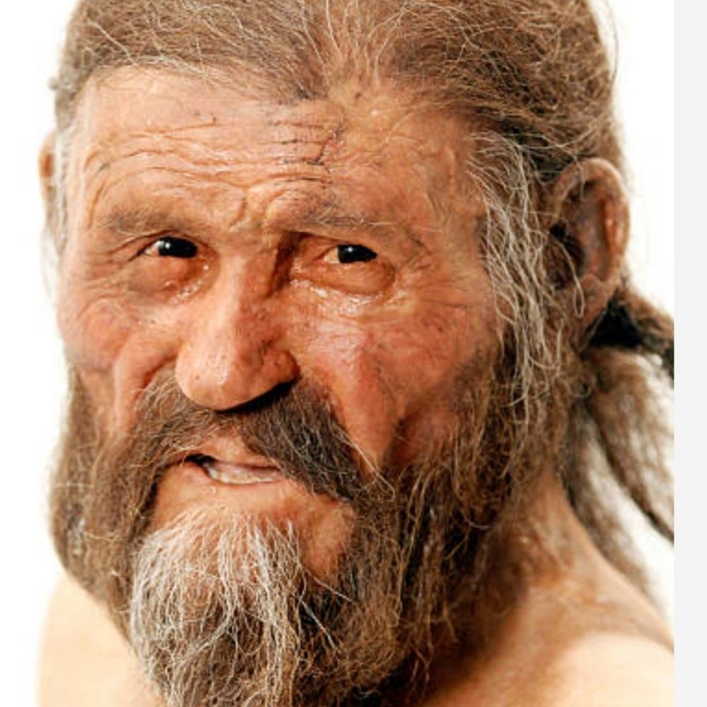 Ötzi's avatar