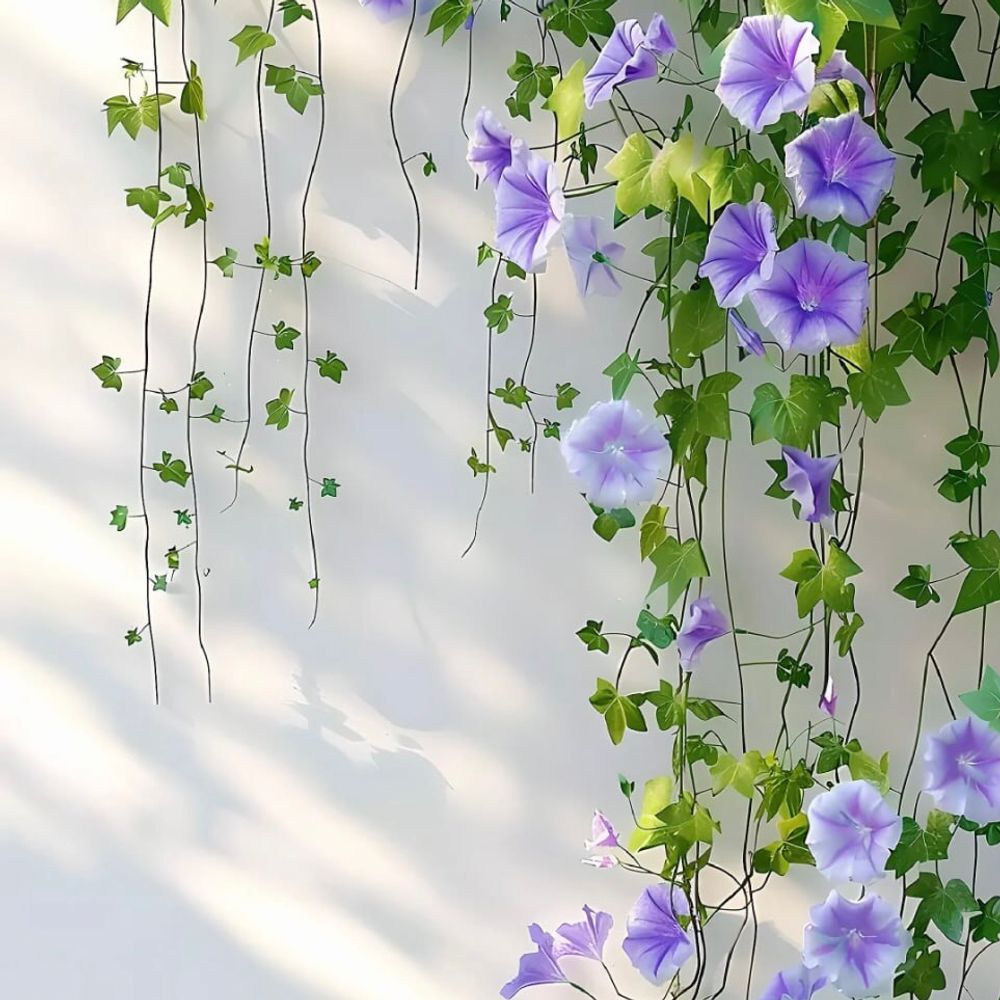 morningglory421.bsky.social profile picture