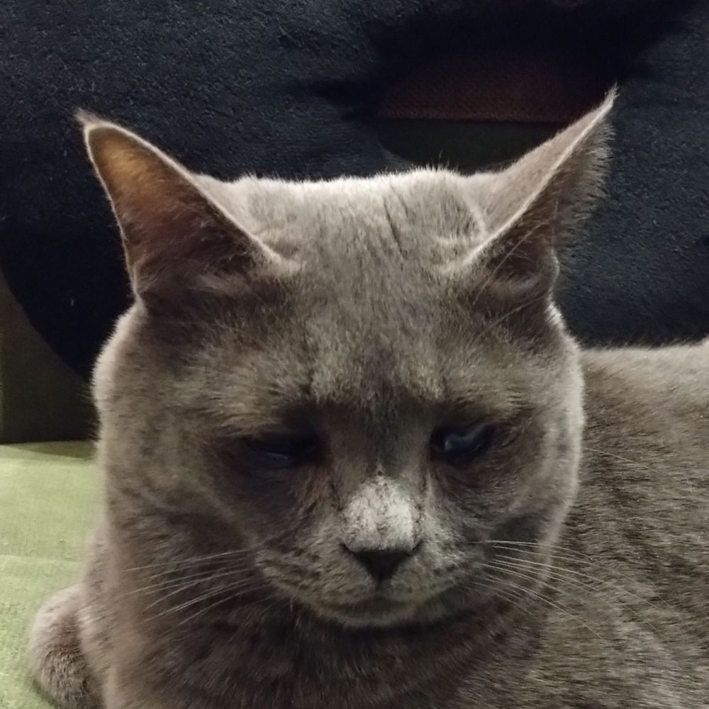 ふうとりがに