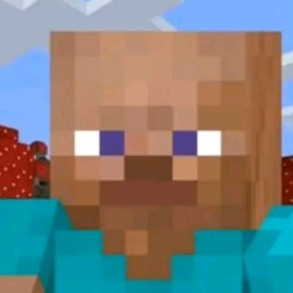 Memes Minecraft 