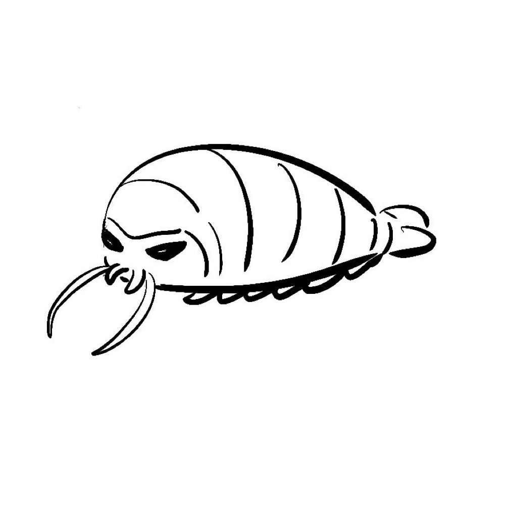 あめよず