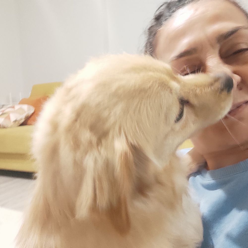 Kiboş  gremse darîn