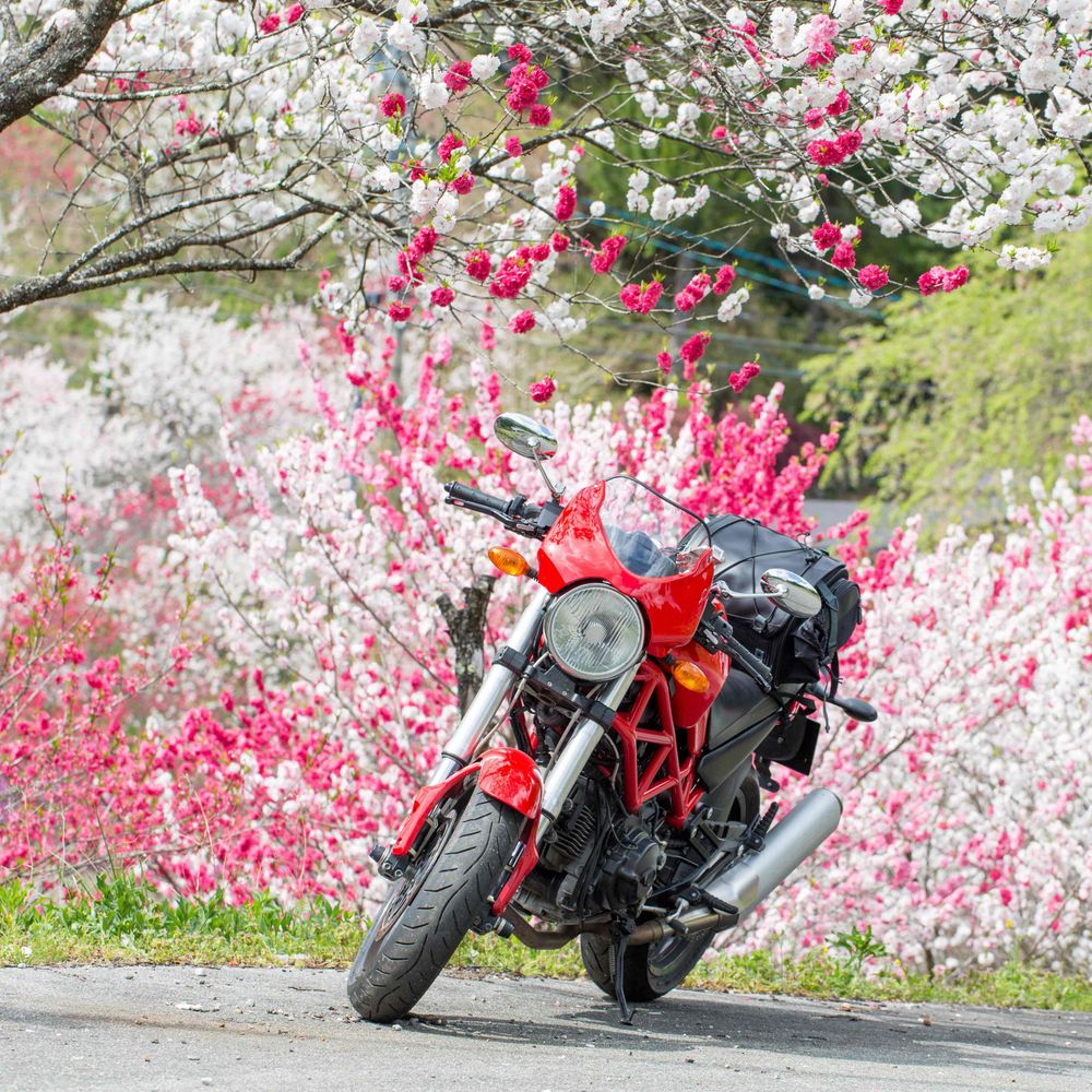 kemool廃墟とポトレ