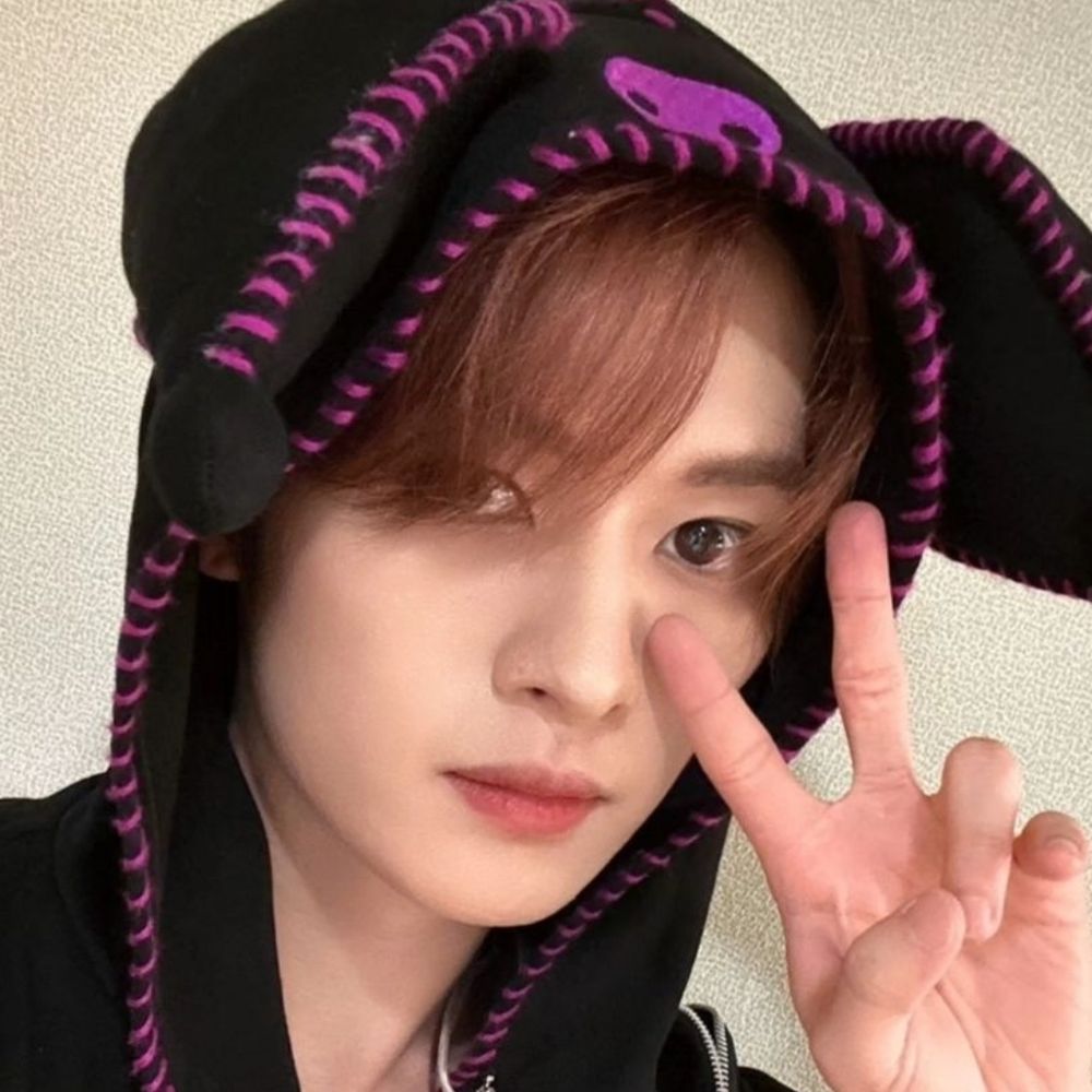 Stray Kids Updates !