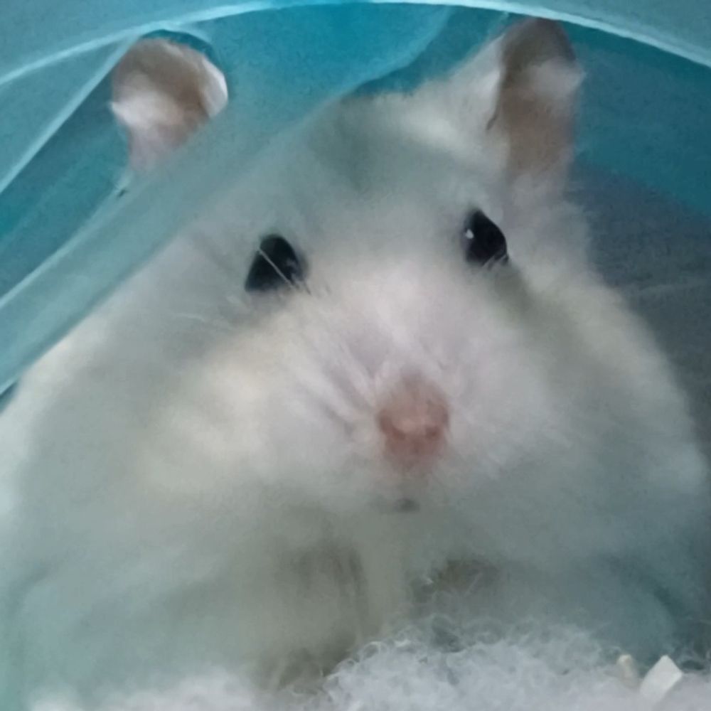 료근