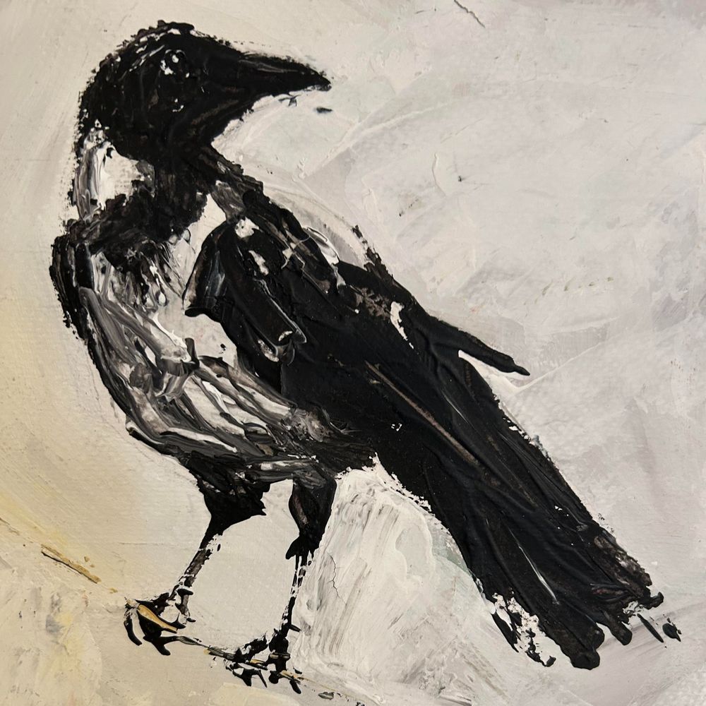 Real Actual Human(Not a Crow)