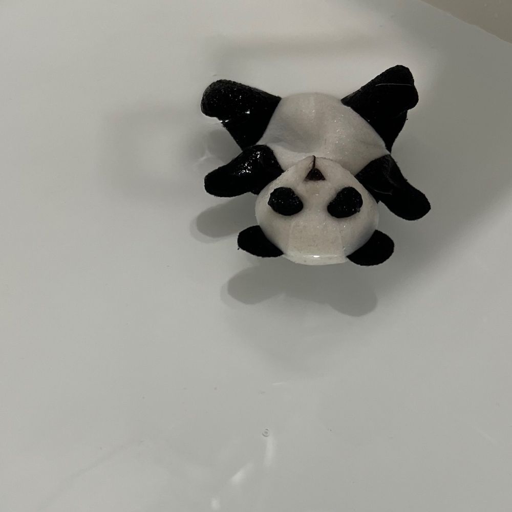 ちゃたろ