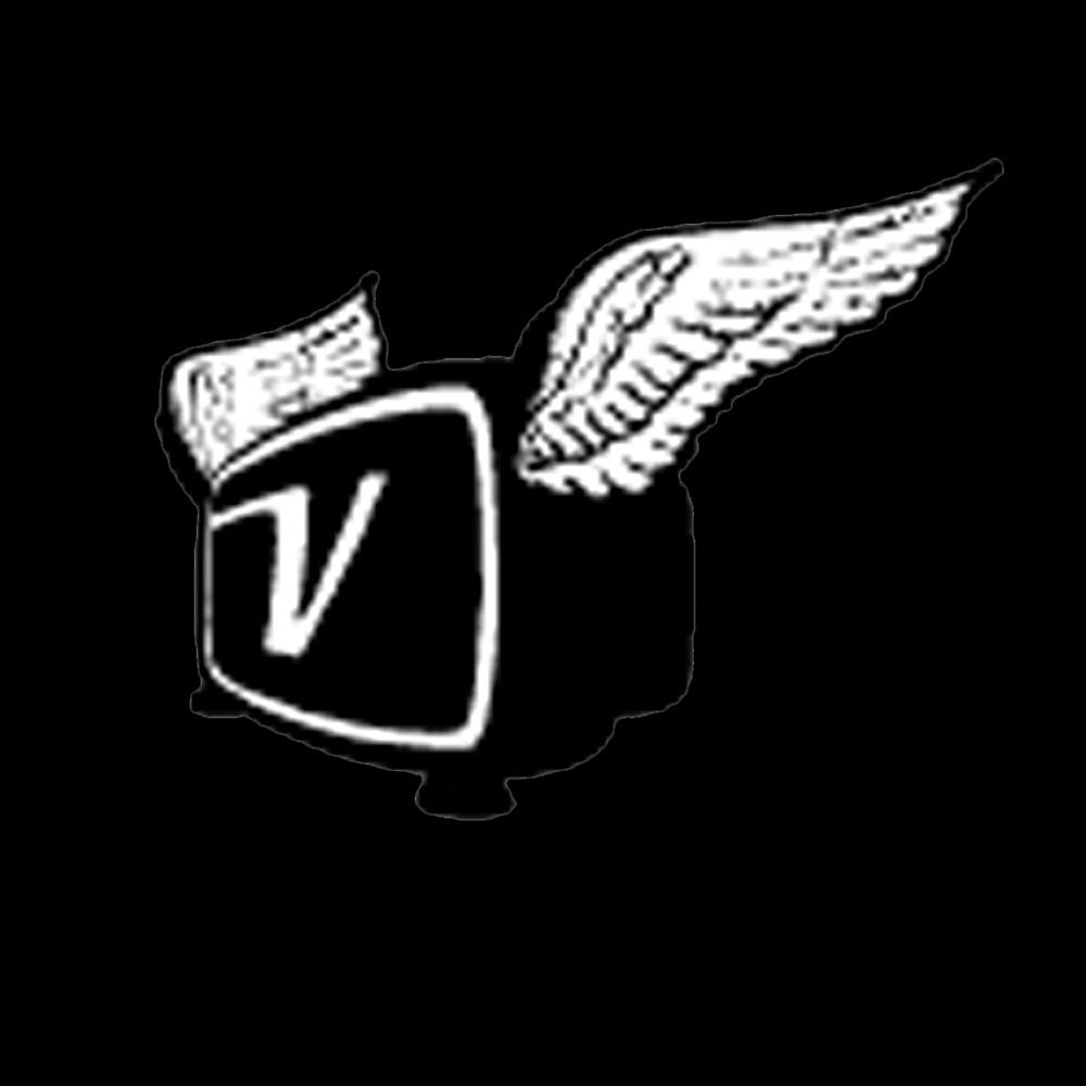 Viodi