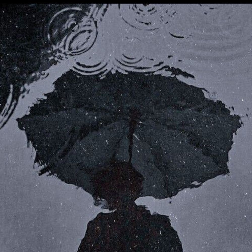 暴雨☂