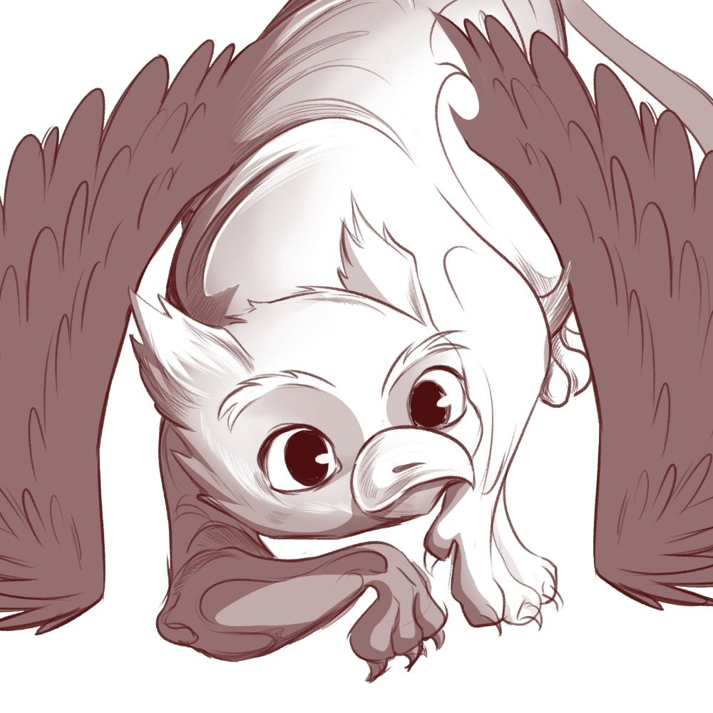 Anthidraws