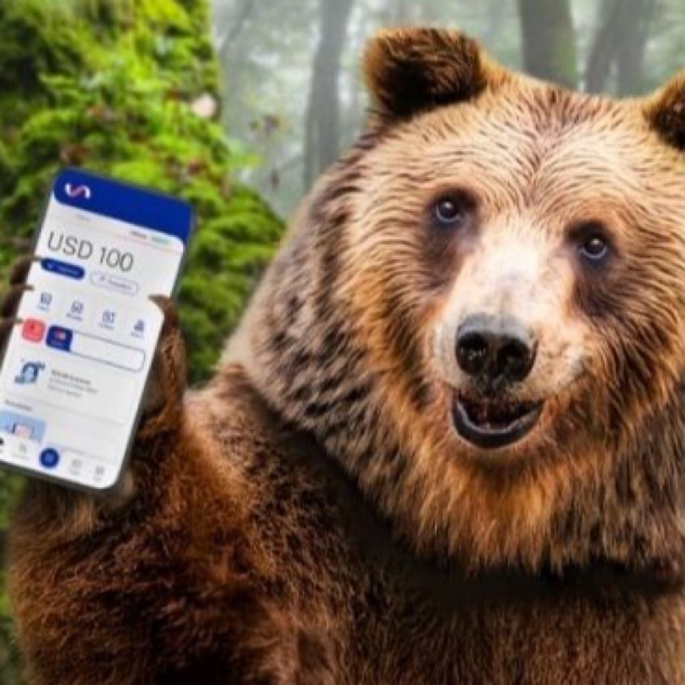 Oso De Uala