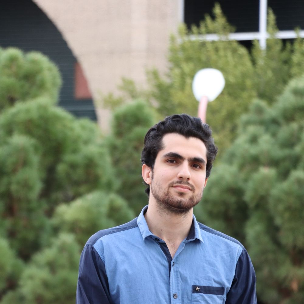 Amir Hossein Parsaeian