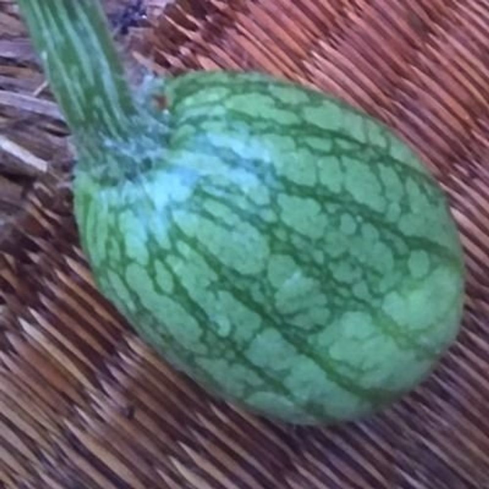 みう