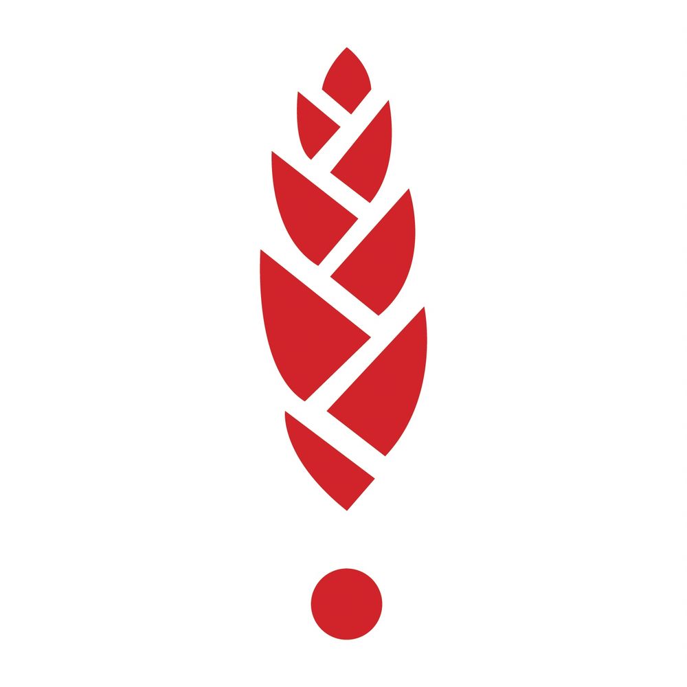 Bang Brewing