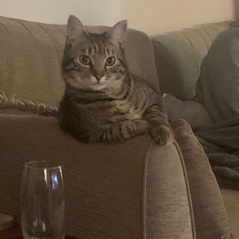 Binky