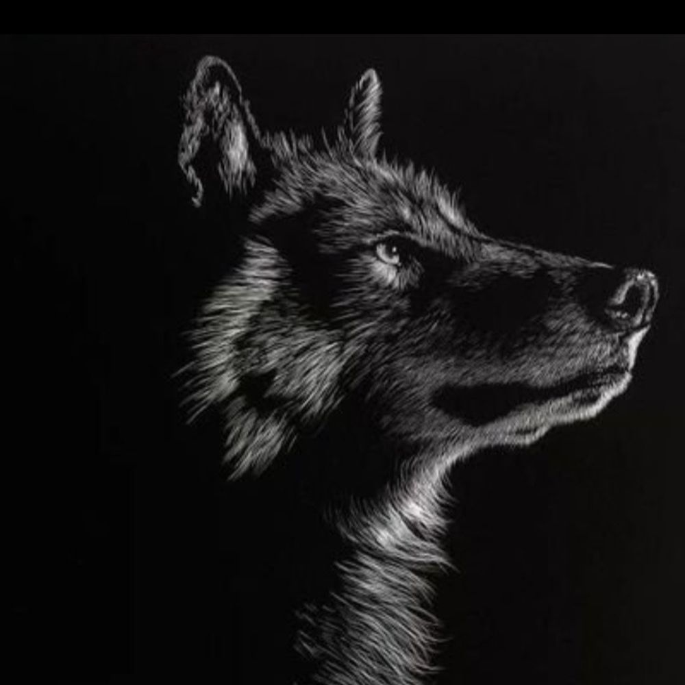 Lobo Solitário 🐺