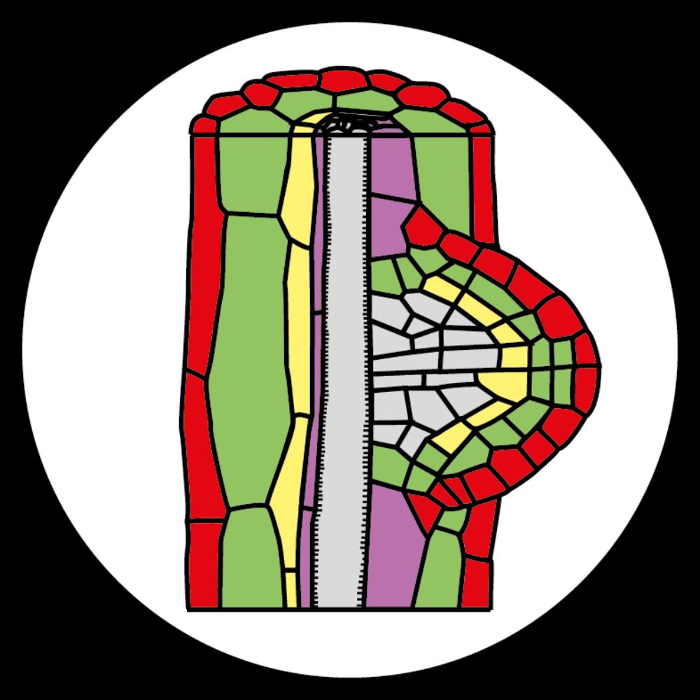 Peret Lab