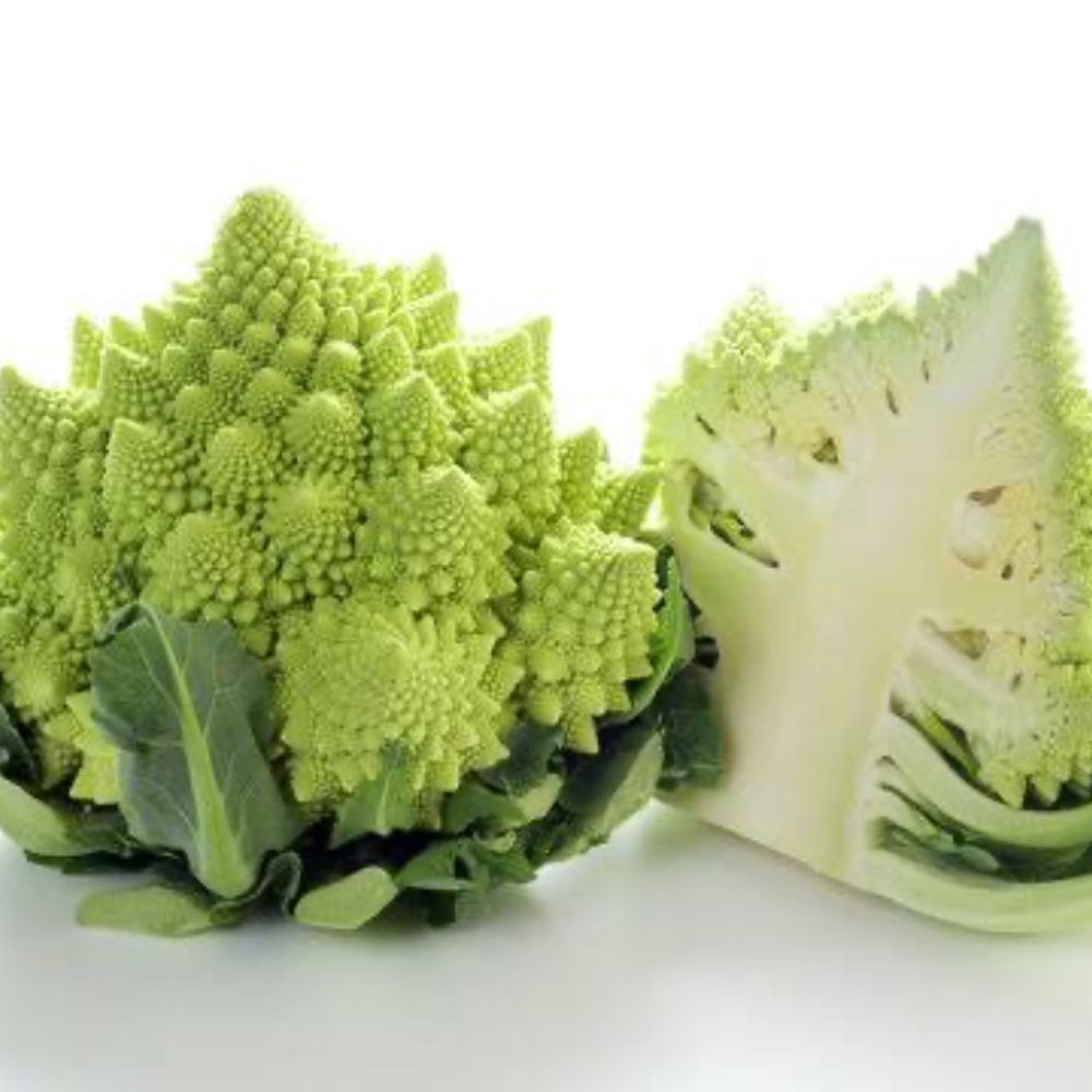 虫ノ介