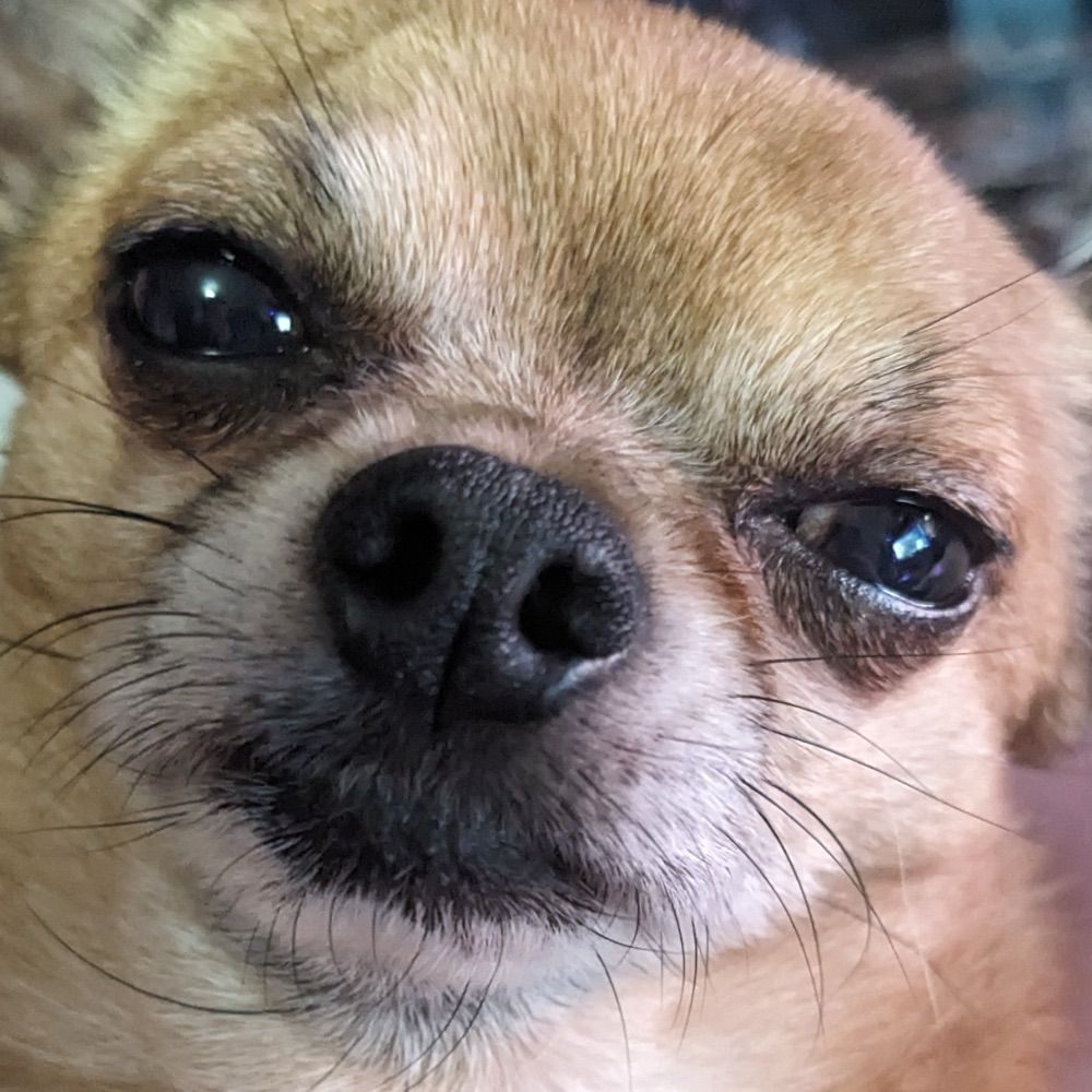 missmalevolence.bsky.social