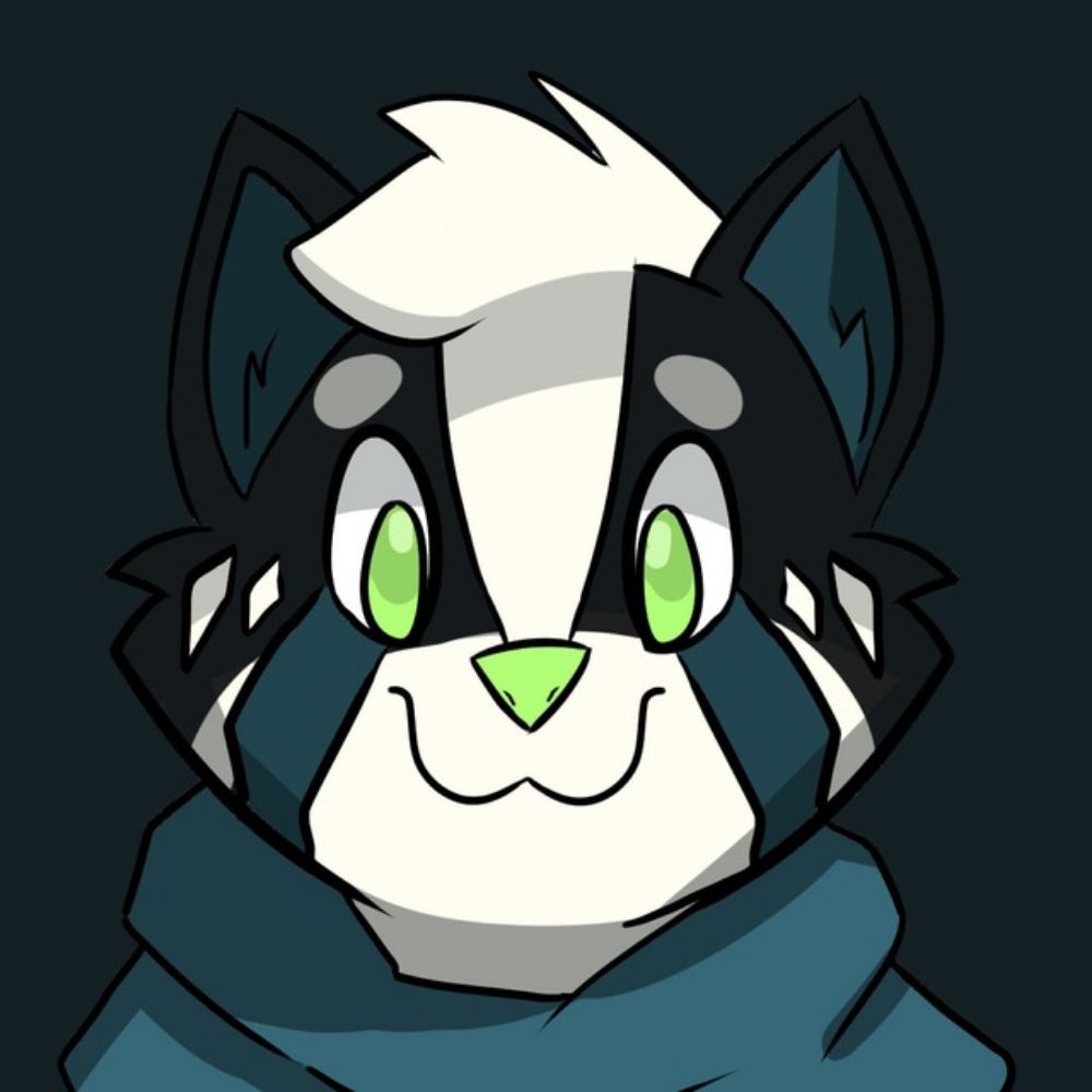 Fluffy Skunky Cat
