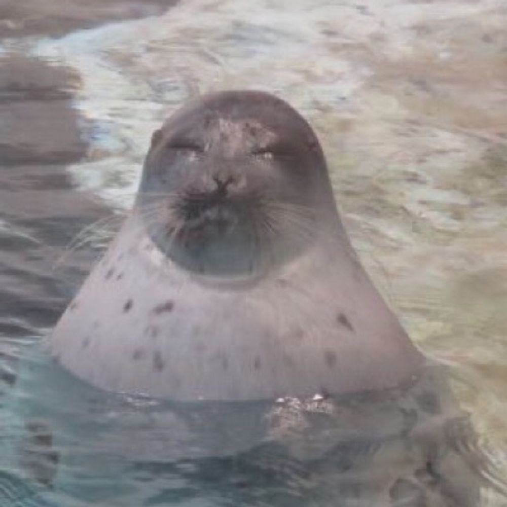 たけのこ
