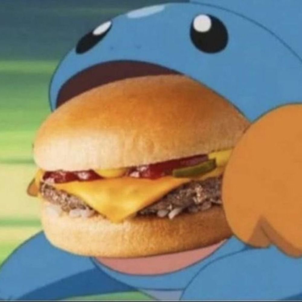 mudkkipp