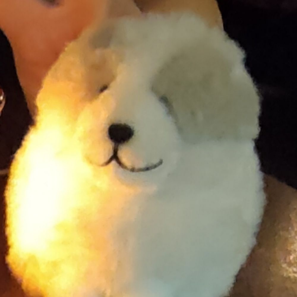 ふみえ