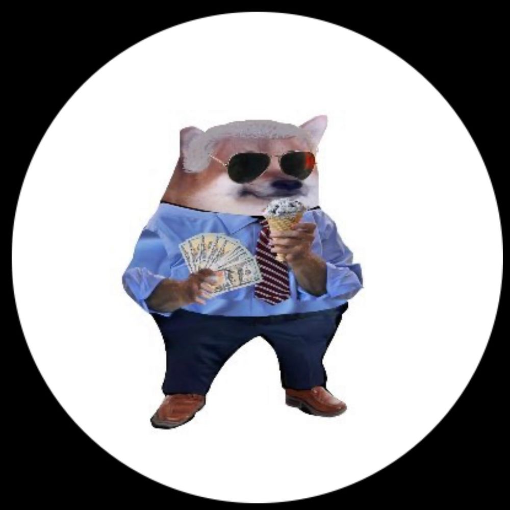 Meidas Romi's avatar