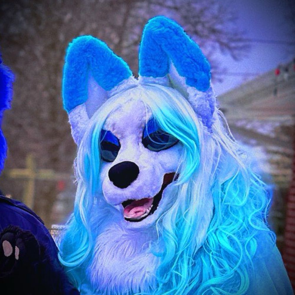 ❄️ Fröst Fox 🔜 MCFC 2025 ❄️