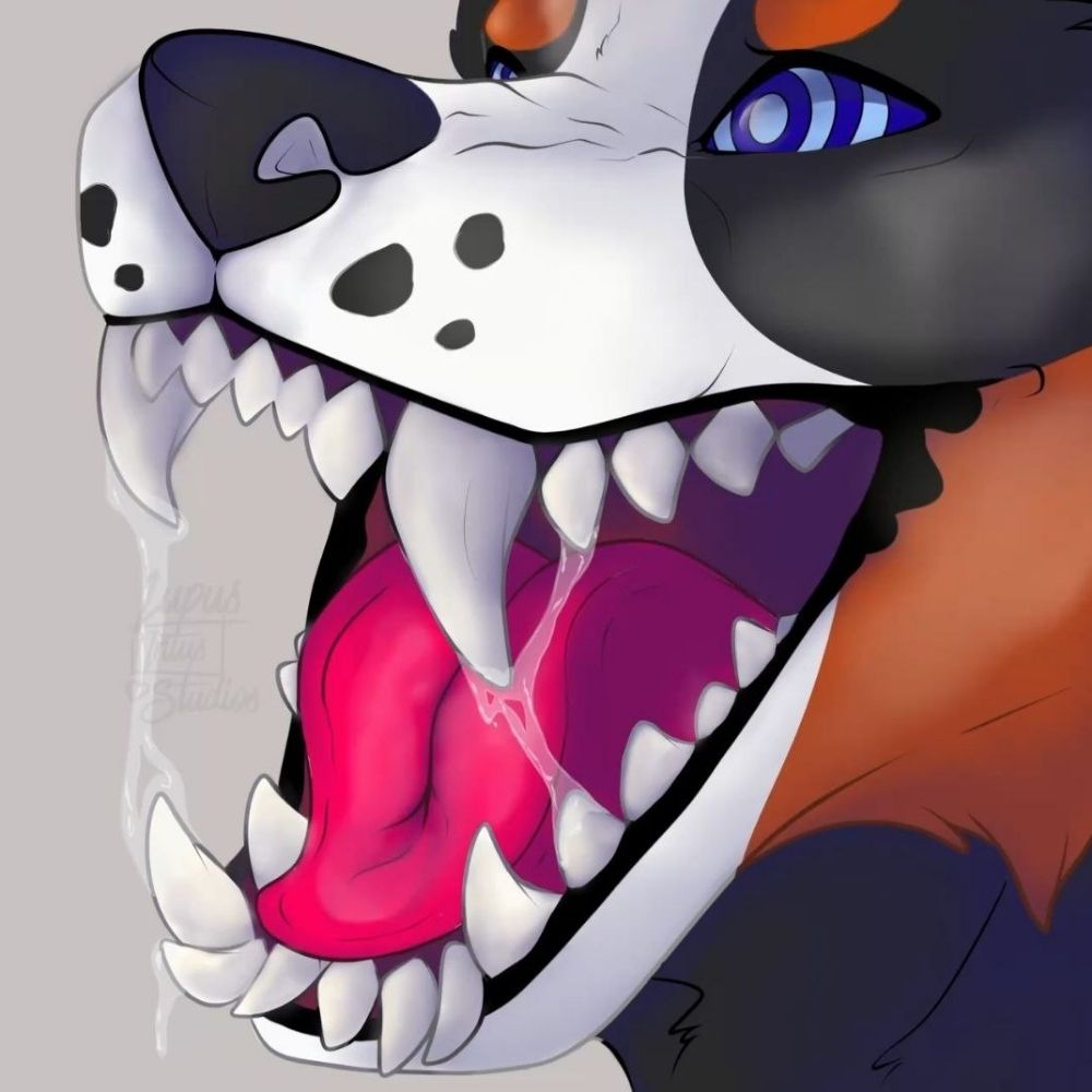 Koda