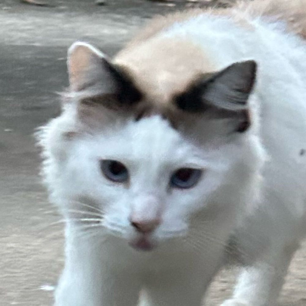 寿司郎