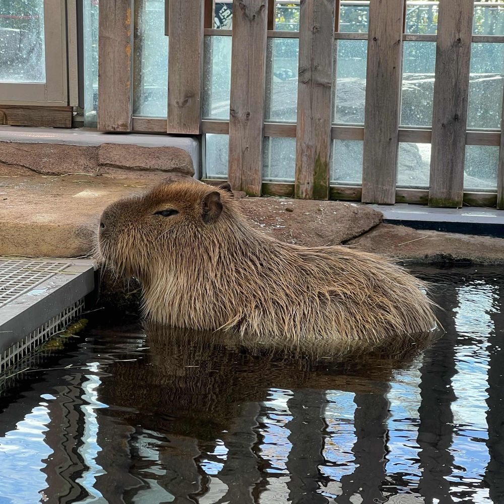 おずわーるど